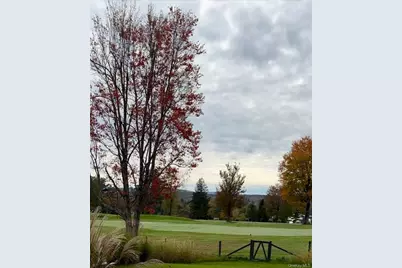 61 Red Fox Lane, Copake Falls, NY 12521 - Photo 31