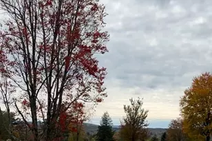 61 Red Fox Ln, Copake Falls, NY 12521 - Photo 31