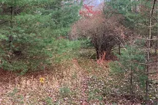 140 Plank Rd, Mongaup Valley, NY 12762 - Photo 7