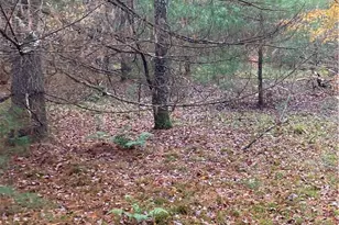 140 Plank Rd, Mongaup Valley, NY 12762 - Photo 15