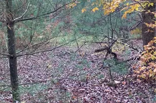 140 Plank Rd, Mongaup Valley, NY 12762 - Photo 13