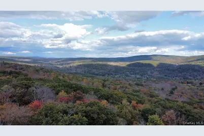 1 West Hill Road, Austerlitz, NY 12017 - Photo 9