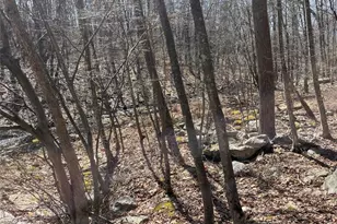 2215 Greenville Turnpike, Port Jervis, NY 12771 - Photo 25