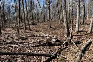 2215 Greenville Turnpike, Port Jervis, NY 12771 - Photo 29