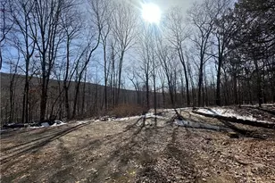 2215 Greenville Turnpike, Port Jervis, NY 12771 - Photo 13