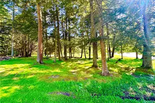 12 Mesmer Hill Rd, Callicoon, NY 12723 - Photo 17