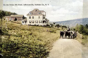 807 Swiss Hill Rd N, Jeffersonville, NY 12748 - Photo 35