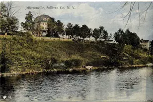 807 Swiss Hill Rd N, Jeffersonville, NY 12748 - Photo 33