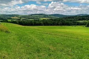 495 Swiss Hill Rd N, Jeffersonville, NY 12748 - Photo 13