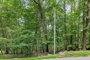 47 John Cross Rd, Mount Kisco, NY 10549 - Photo 9