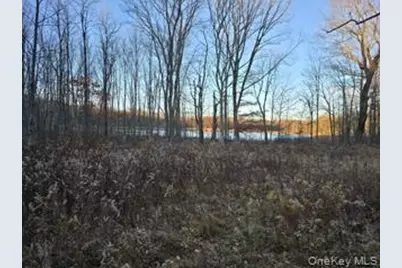 Logtown Road, Port Jervis, NY 12771 - Photo 13