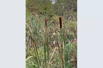 Logtown Road, Port Jervis, NY 12771 - Photo 5