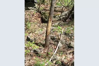 Logtown Road, Port Jervis, NY 12771 - Photo 1