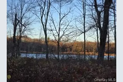 Logtown Road, Port Jervis, NY 12771 - Photo 15