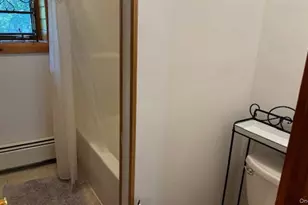 471 Mountain Rd, Bloomingburg, NY 12721 - Photo 11