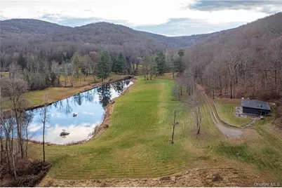 165 Duell Hollow Road, Wingdale, NY 12594 - Photo 25