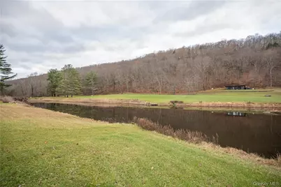 165 Duell Hollow Road, Wingdale, NY 12594 - Photo 29