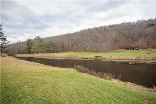 165 Duell Hollow Rd, Wingdale, NY 12594 - Photo 29