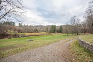 165 Duell Hollow Rd, Wingdale, NY 12594 - Photo 27