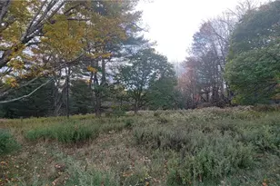 1195 Nys Route 17B, Mongaup Valley, NY 12762 - Photo 17