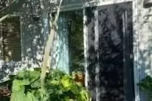 270 Cottage Walk, Ocean Beach, NY 11770 - Photo 3