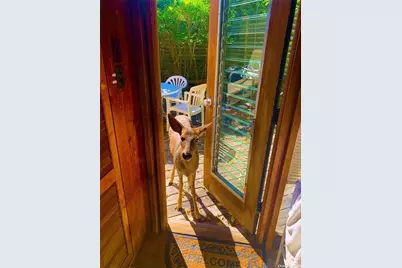 30 Gale Walk, Seaview, NY 11770 - Photo 13