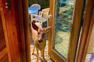 30 Gale Walk, Seaview, NY 11770 - Photo 13