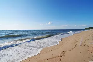 250 Wesland Rd, Southold, NY 11971 - Photo 29