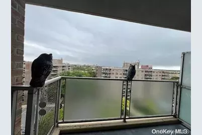 200 Cozine Avenue #9F, Brooklyn, NY 11207 - Photo 7