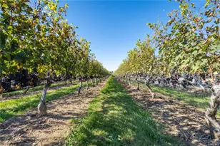 300 Marion Pl, East Marion, NY 11939 - Photo 33