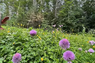9 Pine Kill Ln, Windham, NY 12496 - Photo 27