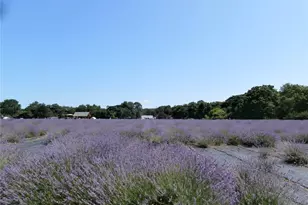 3670 Rocky Point Rd, East Marion, NY 11939 - Photo 25