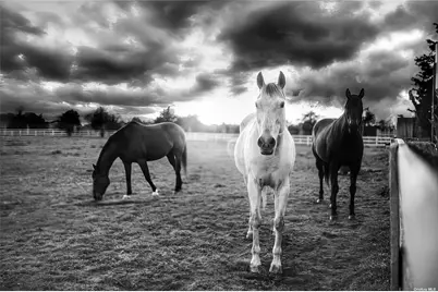 4170/3375+ Indian Neck Lane, Peconic, NY 11958 - Photo 19