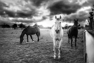 4170/3375+ Indian Neck Ln, Peconic, NY 11958 - Photo 19