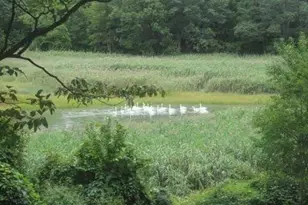 15 Old Field Rd, Setauket, NY 11733 - Photo 11