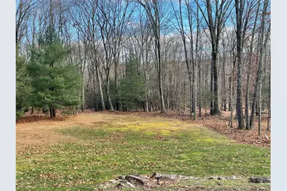 29 Porter Road, Mountain Dale, NY 12763 - Photo 1