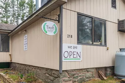 218 Pine Grove Road #45, Smallwood, NY 12778 - Photo 1