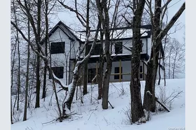 156 Schefflers Road, Westtown, NY 10998 - Photo 1