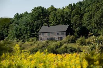 78 Waldorf Ridge Road, Copake Falls, NY 12516 - Photo 1