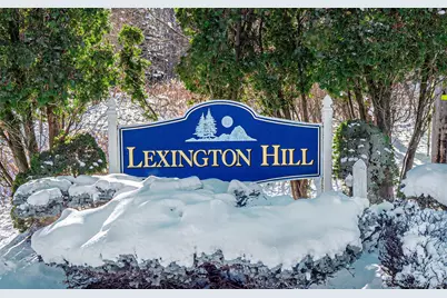 20 Lexington Hill #2, Harriman, NY 10926 - Photo 1