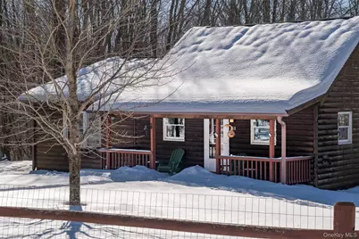 81 Macdougal Road, Roscoe, NY 12776 - Photo 1