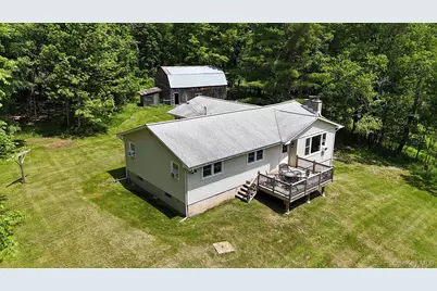 342 Bernas Road, Cochecton Center, NY 12726 - Photo 1