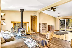 133 Foxtail Ct, Fairplay, CO 80440 - Photo 5