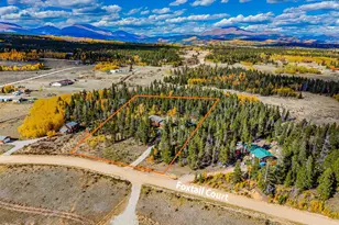 133 Foxtail Ct, Fairplay, CO 80440 - Photo 29