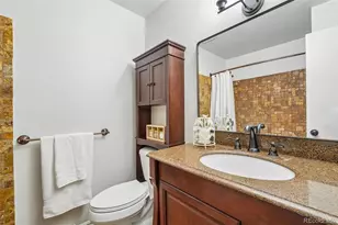 17163 E Brown Cir, Aurora, CO 80013 - Photo 29