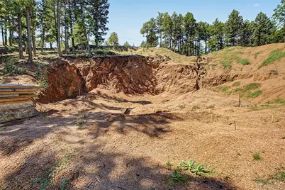 2199 Badger Drive, Larkspur, CO 80118 - Photo 15