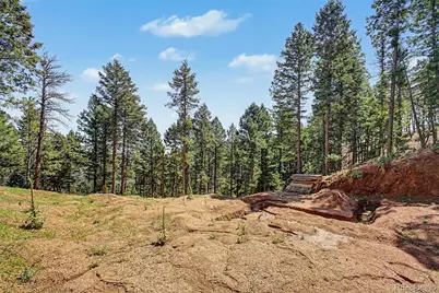 2199 Badger Drive, Larkspur, CO 80118 - Photo 19