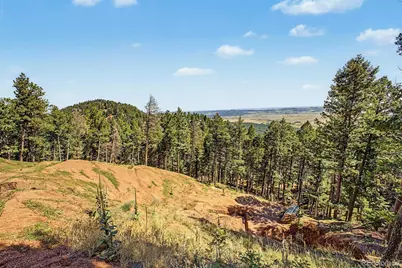 2199 Badger Drive, Larkspur, CO 80118 - Photo 9