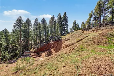 2199 Badger Drive, Larkspur, CO 80118 - Photo 13