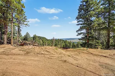 2199 Badger Drive, Larkspur, CO 80118 - Photo 3